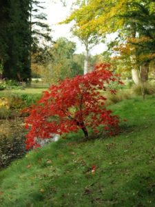 client testimonials - fall lake
