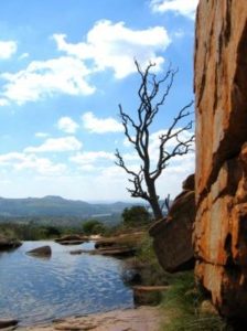 training - cliff, lake, and branch